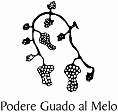 podere gualdo al melo.jpg