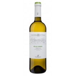 Collezione Apponale, Muller Thurgau, Trentino DOC