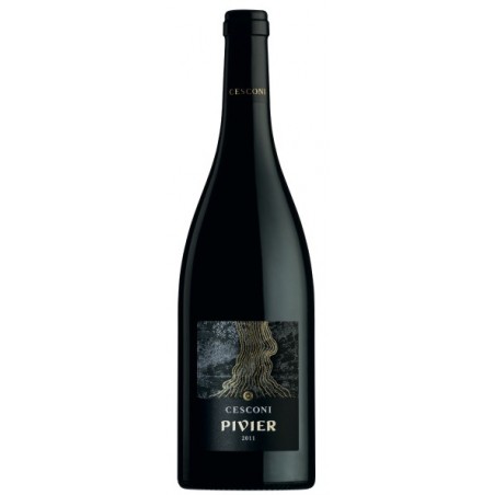 Pivier, Rosso, Vigneti delle Dolomiti IGT