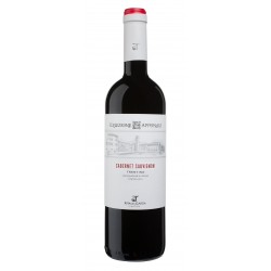 Trentino Doc Cabernet Sauvignon "Collezione Apponale"