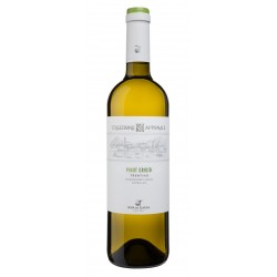 Trentino D.O.C. Pinot Grigio "Collezione Apponale"