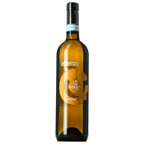 Assenza, Falanghina, Sannio DOC