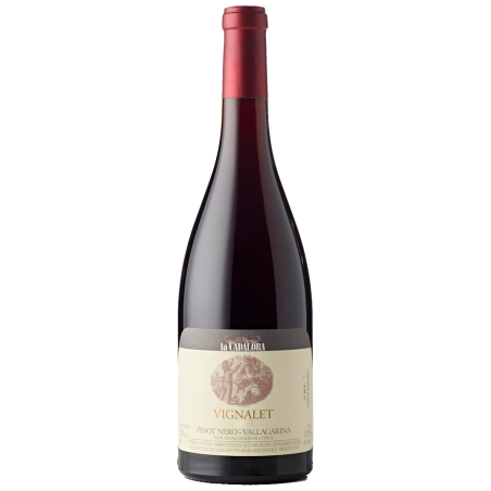 Vignalet, Pinot Nero, Vallagarina IGT